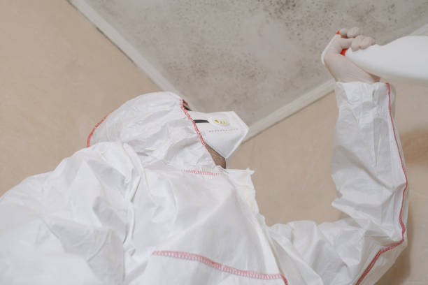 Best Certified Mold Removal  in Aberdeen, ID