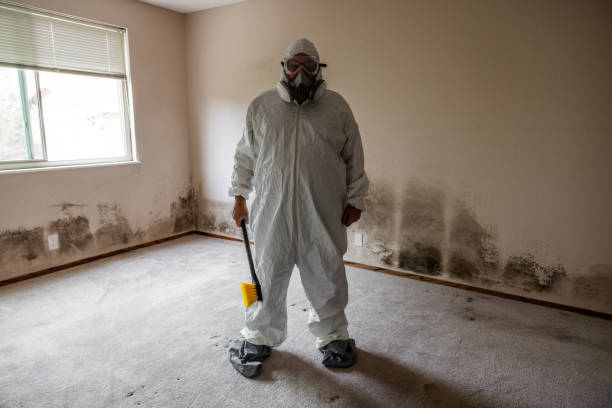 Certified Mold Removal in Aberdeen, ID
