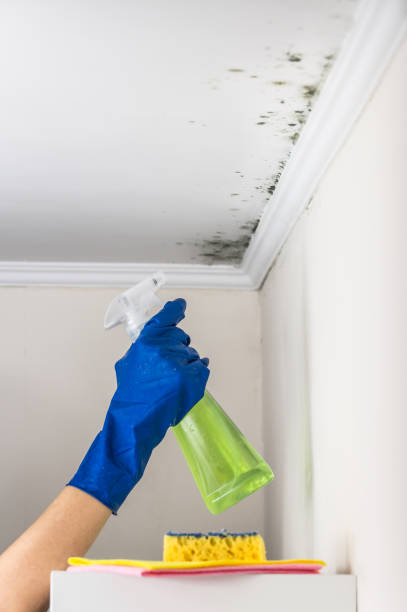 Best Mold Cleaning Services  in Aberdeen, ID